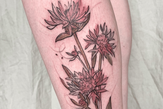 Fonte de tatuagem de flor de centáurea @kasia.kot.tattoo via Instagram