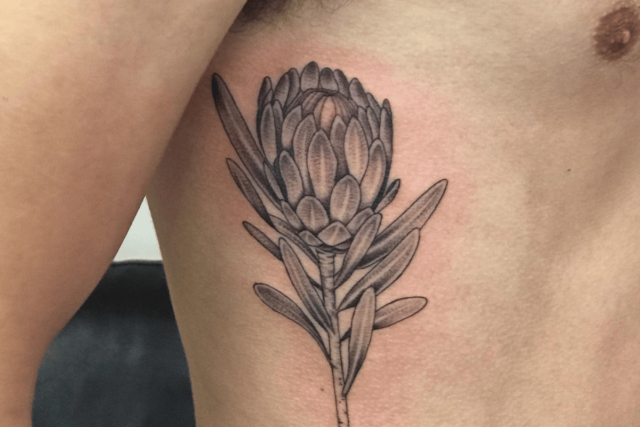 Fonte de tatuagem de flor de protea @elizabethjanetattoos via Instagram