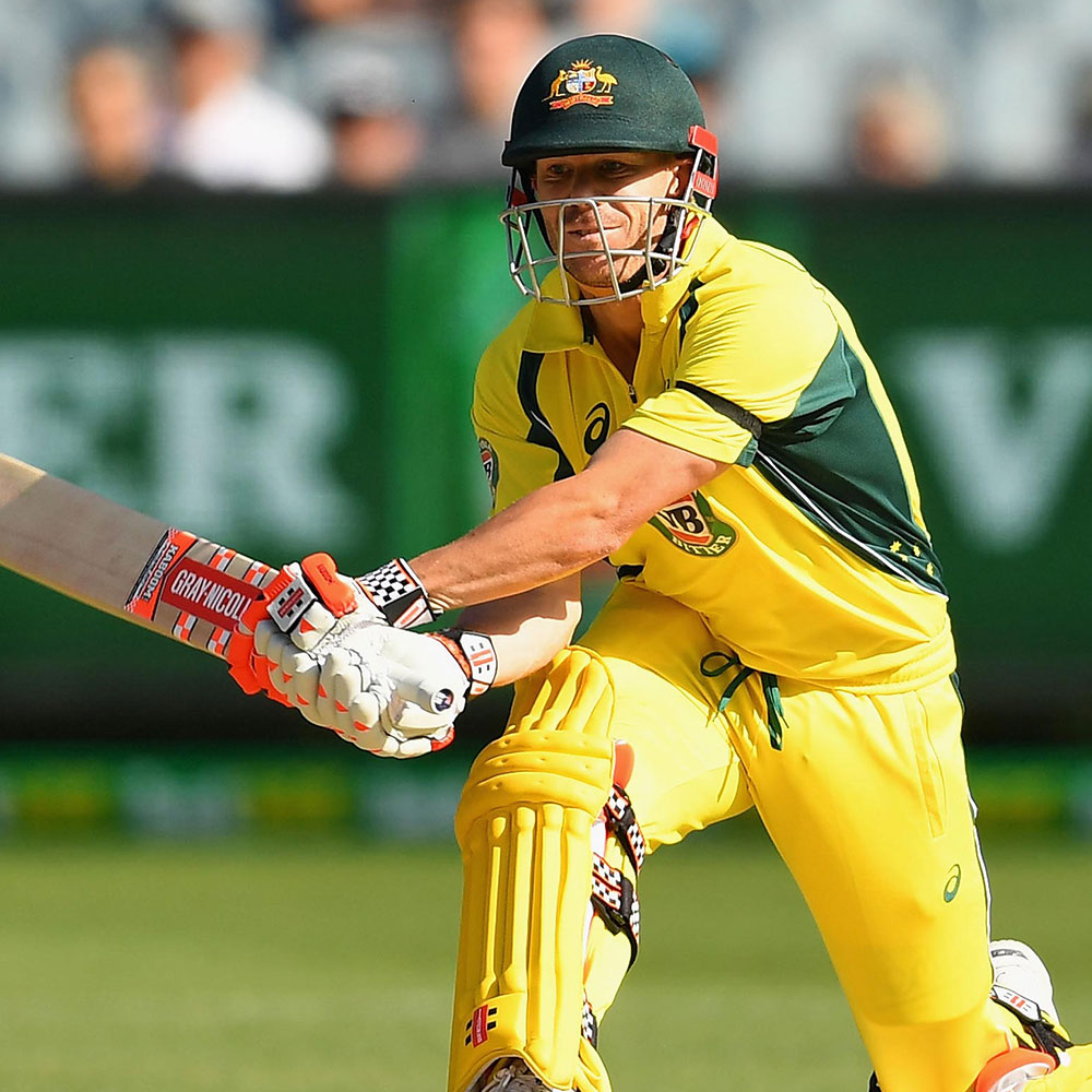 What type of player is David Warner Source cricket.com.au