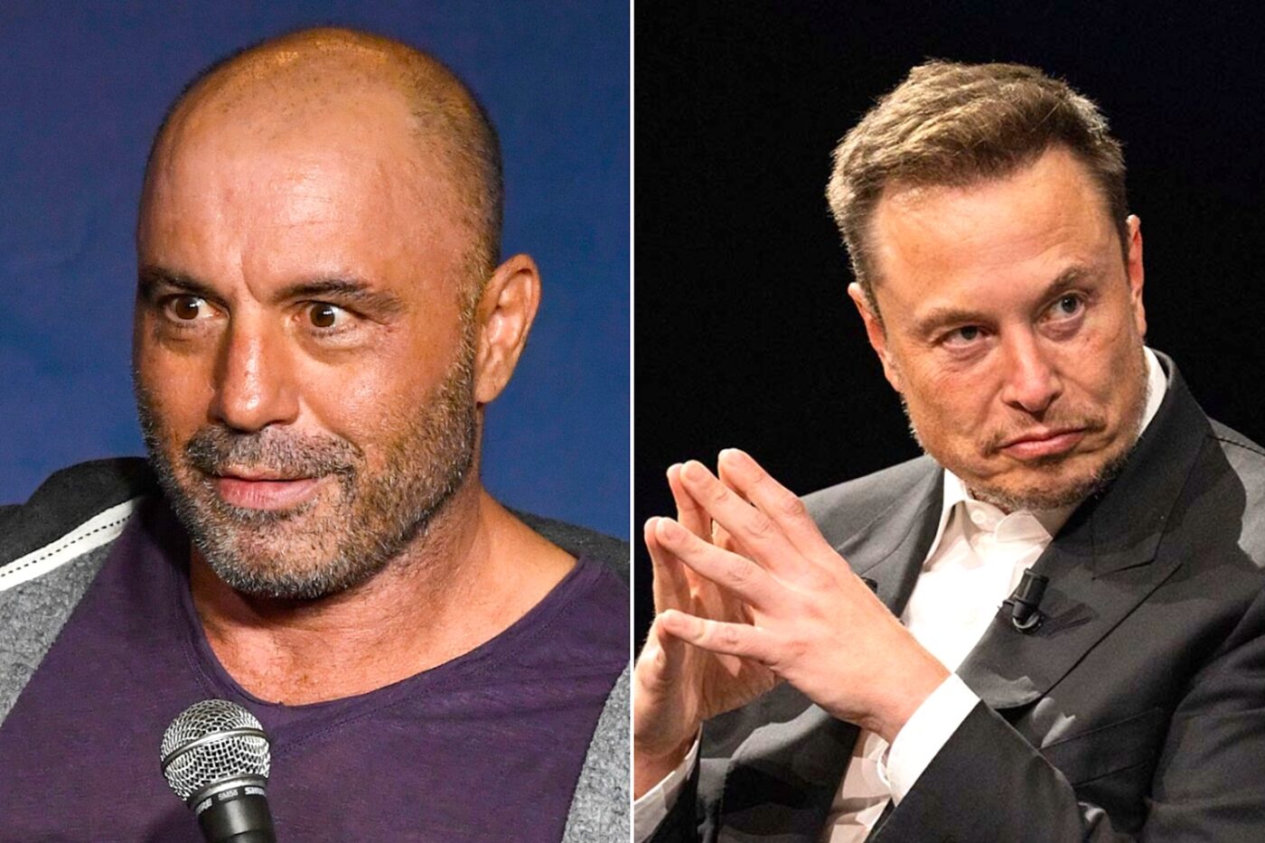 Elon Musk & Joe Rogan Weigh In On ‘Fitness Is Fascism’ Debate