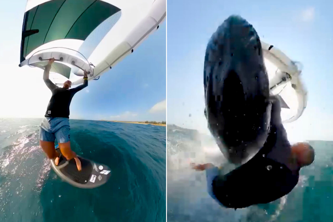 Australian Surfer Bodyslammed By Humpback Whale & Catches Entire Incident On Camera