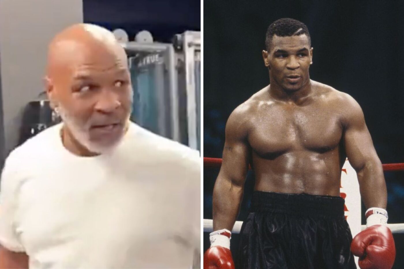 Boxing Fan Accidentally Catches Mike Tyson In Spar... And It Doesn't